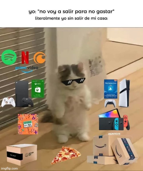 9nvvxz.jpg