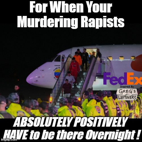Bet even Tom Hanks would approve (Albeit secretly) | For When Your Murdering Rapists; ABSOLUTELY POSITIVELY 
HAVE to be there Overnight ! | image tagged in fed ex rapist murderers overnight meme | made w/ Imgflip meme maker