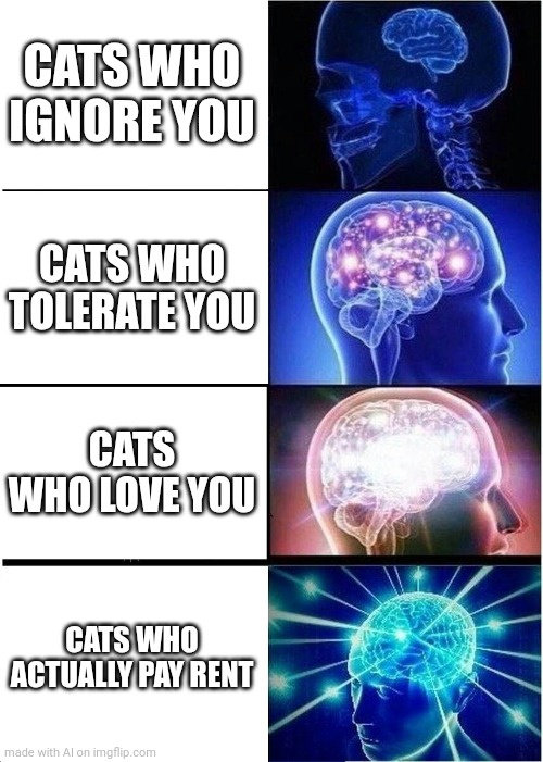 Expanding Brain Meme | CATS WHO IGNORE YOU; CATS WHO TOLERATE YOU; CATS WHO LOVE YOU; CATS WHO ACTUALLY PAY RENT | image tagged in memes,expanding brain | made w/ Imgflip meme maker