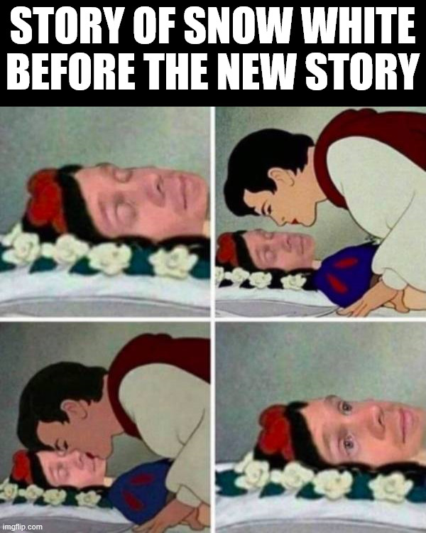 A summary of snow white ending | STORY OF SNOW WHITE BEFORE THE NEW STORY | image tagged in snow white | made w/ Imgflip meme maker