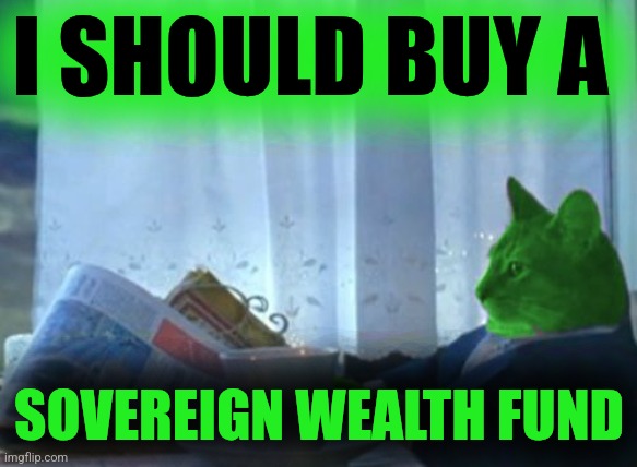 I Should Buy a Boat RayCat | I SHOULD BUY A SOVEREIGN WEALTH FUND | image tagged in i should buy a boat raycat | made w/ Imgflip meme maker