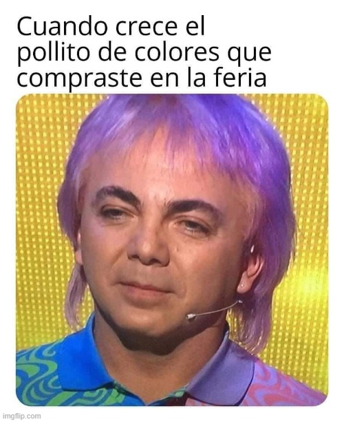 9nwapm.jpg