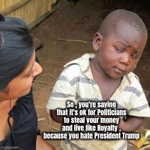 That's how it seems | So , you're saying that it's ok for Politicians to steal your money and live like Royalty , because you hate President Trump | image tagged in memes,third world skeptical kid,you guys always act like you're better than me,politicians suck,government corruption | made w/ Imgflip meme maker