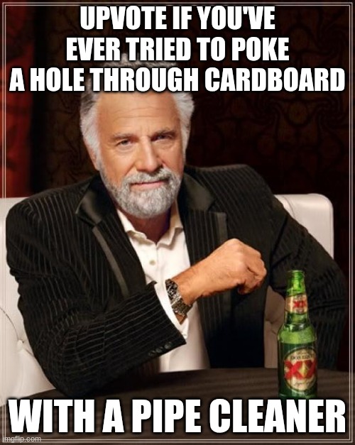 Relatable | UPVOTE IF YOU'VE EVER TRIED TO POKE A HOLE THROUGH CARDBOARD; WITH A PIPE CLEANER | image tagged in memes,the most interesting man in the world,relatable,relatable memes | made w/ Imgflip meme maker