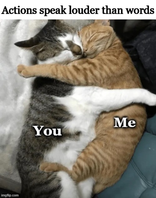 Love | Actions speak louder than words | image tagged in a picture is worth a thousand words,commitment,fidelity,respect,cats,love | made w/ Imgflip meme maker