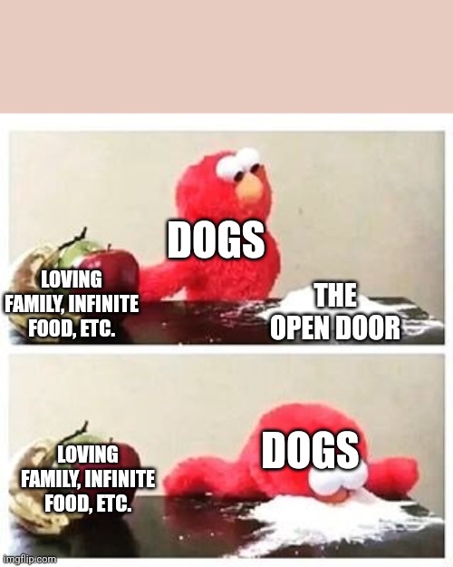 Dogs be like | DOGS; LOVING FAMILY, INFINITE FOOD, ETC. THE OPEN DOOR; DOGS; LOVING FAMILY, INFINITE FOOD, ETC. | image tagged in elmo cocaine,dogs,running,escape | made w/ Imgflip meme maker