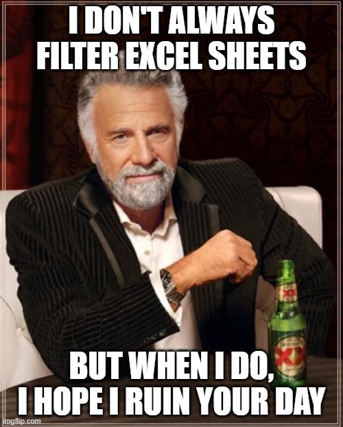 Work Fun | I DON'T ALWAYS FILTER EXCEL SHEETS; BUT WHEN I DO, I HOPE I RUIN YOUR DAY | image tagged in excel,work,filter | made w/ Imgflip meme maker