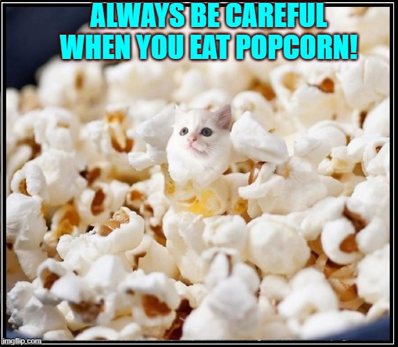 WARNING... | ALWAYS BE CAREFUL WHEN YOU EAT POPCORN! | image tagged in vince vance,cats,popcorn,warning,meow,funny cat memes | made w/ Imgflip meme maker