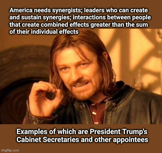 America needs synergists; leaders who can create and sustain synergies; | America needs synergists; leaders who can create
and sustain synergies; interactions between people
that create combined effects greater than the sum
of their individual effects; Examples of which are President Trump's
Cabinet Secretaries and other appointees | image tagged in synergy,trump,elon musk,doge | made w/ Imgflip meme maker