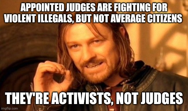 Obama and Soros appointees. Anti-American politicians and billionaires. | APPOINTED JUDGES ARE FIGHTING FOR VIOLENT ILLEGALS, BUT NOT AVERAGE CITIZENS; THEY'RE ACTIVISTS, NOT JUDGES | image tagged in memes,one does not simply,george soros,barack obama | made w/ Imgflip meme maker