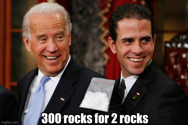 These 2 Dopes Were Involved In Our Affairs ? | 300 rocks for 2 rocks | image tagged in hunter biden crack head,political meme,politics,funny memes,funny | made w/ Imgflip meme maker