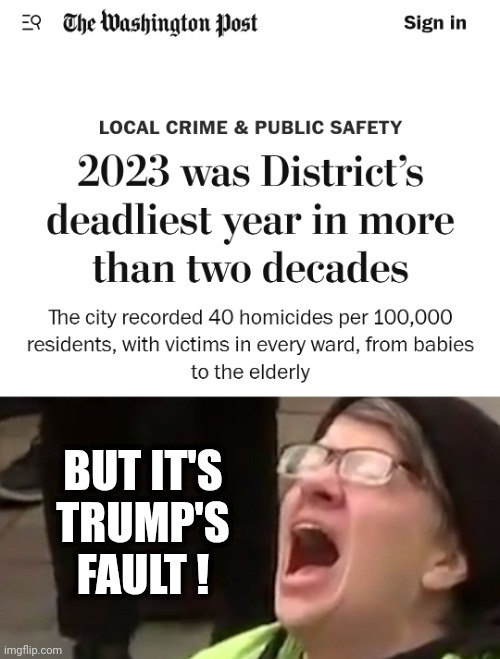 BUT IT'S TRUMP'S FAULT ! | image tagged in screaming liberal | made w/ Imgflip meme maker