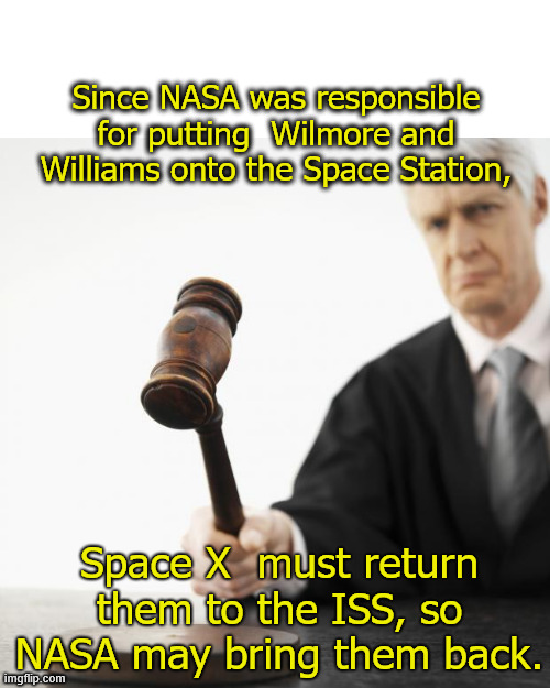 The Next Idiotic Court Ruling | Since NASA was responsible for putting  Wilmore and Williams onto the Space Station, Space X  must return them to the ISS, so NASA may bring them back. | image tagged in judged,nasa,elon musk,spacex | made w/ Imgflip meme maker