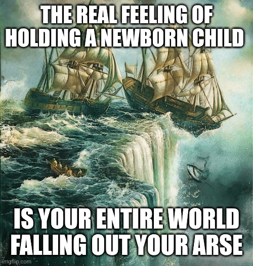 Pretty much | THE REAL FEELING OF HOLDING A NEWBORN CHILD; IS YOUR ENTIRE WORLD FALLING OUT YOUR ARSE | image tagged in ships falling off edge of the world,memes,childfree | made w/ Imgflip meme maker