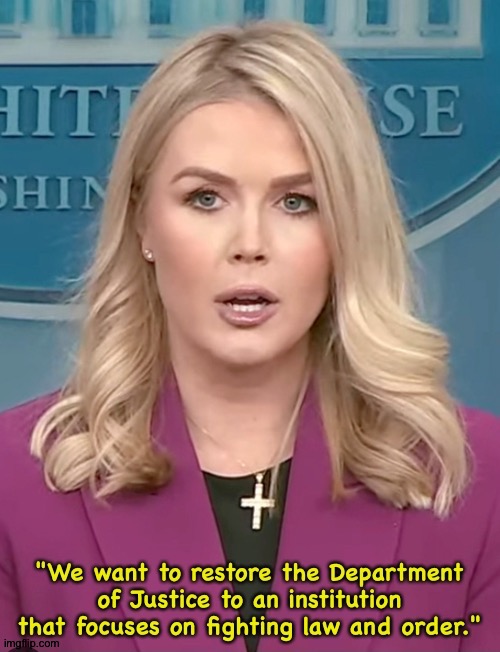 You've already been doing that, dummy. | image tagged in karoline leavitt | made w/ Imgflip meme maker