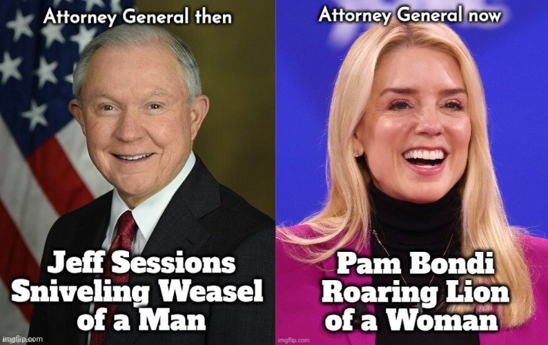 All the difference in the World | image tagged in lying jeff sessions,fafo pam bondi,how tough are you,weasel vs lion,who would win | made w/ Imgflip meme maker