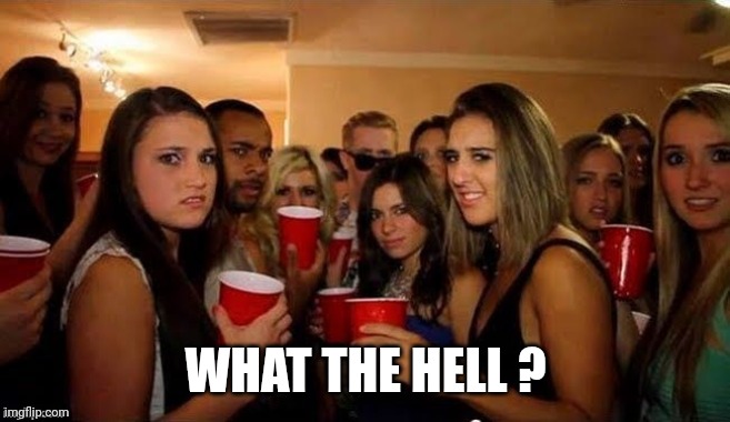 That's disgusting | WHAT THE HELL ? | image tagged in that's disgusting | made w/ Imgflip meme maker