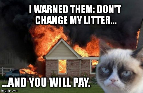 Burn Kitty Meme | I WARNED THEM: DON'T CHANGE MY LITTER... ...AND YOU WILL PAY. | image tagged in memes,burn kitty | made w/ Imgflip meme maker