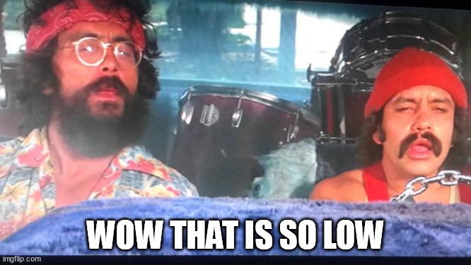 cheech and chong | WOW THAT IS SO LOW | image tagged in cheech and chong | made w/ Imgflip meme maker