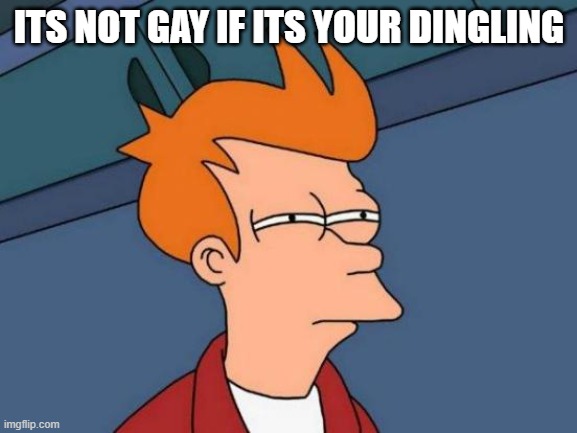 Futurama Fry Meme | ITS NOT GAY IF ITS YOUR DINGLING | image tagged in memes,futurama fry | made w/ Imgflip meme maker