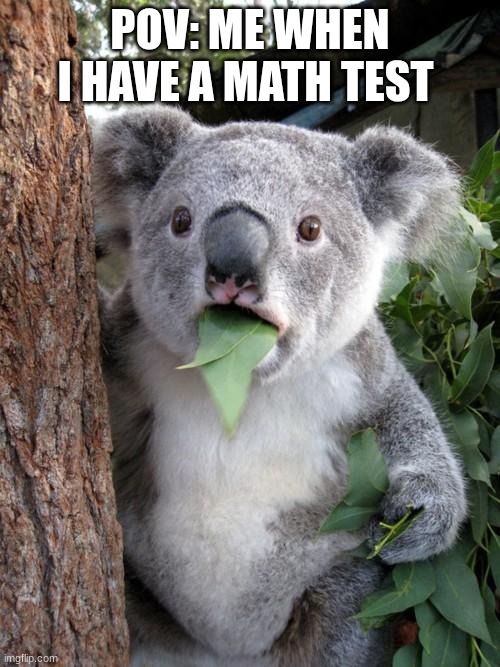 Surprised Koala Meme | POV: ME WHEN I HAVE A MATH TEST | image tagged in memes,surprised koala | made w/ Imgflip meme maker