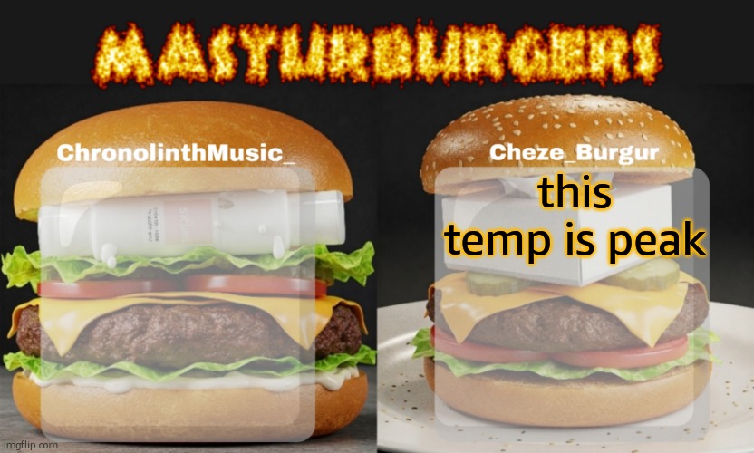 Masturburgers | this temp is peak | image tagged in masturburgers | made w/ Imgflip meme maker