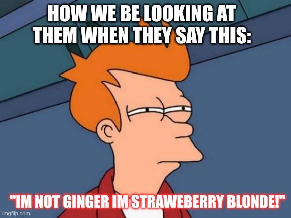 stop the cap bro | HOW WE BE LOOKING AT THEM WHEN THEY SAY THIS:; "IM NOT GINGER IM STRAWEBERRY BLONDE!" | image tagged in memes,futurama fry,ginger | made w/ Imgflip meme maker