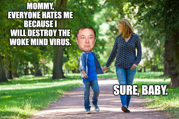 mom and son walking | MOMMY, EVERYONE HATES ME BECAUSE I WILL DESTROY THE WOKE MIND VIRUS. SURE, BABY. | image tagged in mom and son walking | made w/ Imgflip meme maker
