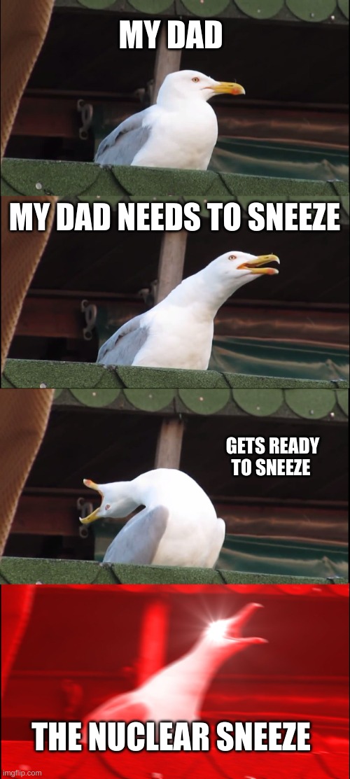 The safe area is 10 blocks away | MY DAD; MY DAD NEEDS TO SNEEZE; GETS READY TO SNEEZE; THE NUCLEAR SNEEZE | image tagged in memes,inhaling seagull | made w/ Imgflip meme maker