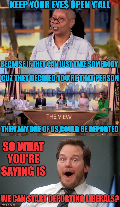 THE DELUSIONAL VIEW | KEEP YOUR EYES OPEN Y'ALL; BECAUSE IF THEY CAN JUST TAKE SOMEBODY; CUZ THEY DECIDED YOU'RE THAT PERSON; THEN ANY ONE OF US COULD BE DEPORTED; SO WHAT YOU'RE SAYING IS; WE CAN START DEPORTING LIBERALS? | image tagged in oooohhhh,the view,liberal logic,democrats,liberals,deportation | made w/ Imgflip meme maker