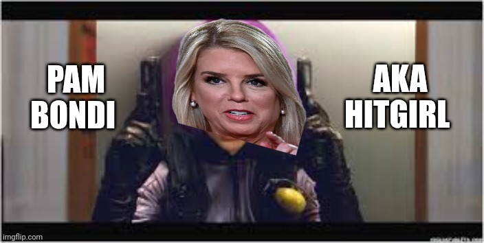 Hitgirl | PAM BONDI AKA HITGIRL | image tagged in hitgirl | made w/ Imgflip meme maker
