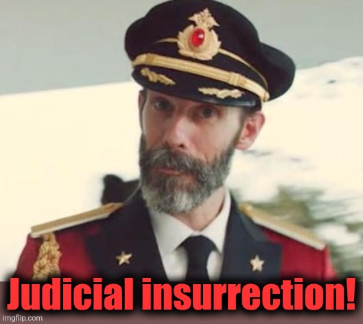 Captain Obvious | Judicial insurrection! | image tagged in captain obvious | made w/ Imgflip meme maker