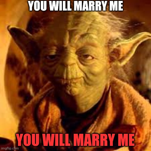 Yoda You Will Be | YOU WILL MARRY ME YOU WILL MARRY ME | image tagged in yoda you will be | made w/ Imgflip meme maker