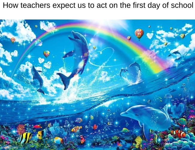 fr | How teachers expect us to act on the first day of school | image tagged in dolphin jumping with rainbow,memes,fun,dolphin,school,teachers | made w/ Imgflip meme maker