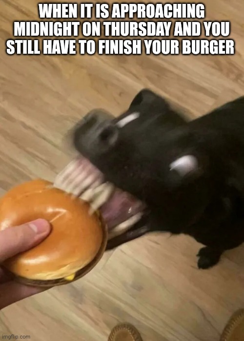 When it is almost Friday | WHEN IT IS APPROACHING MIDNIGHT ON THURSDAY AND YOU STILL HAVE TO FINISH YOUR BURGER | image tagged in dog glitching,catholic,fasting,catholic church,catholicism | made w/ Imgflip meme maker