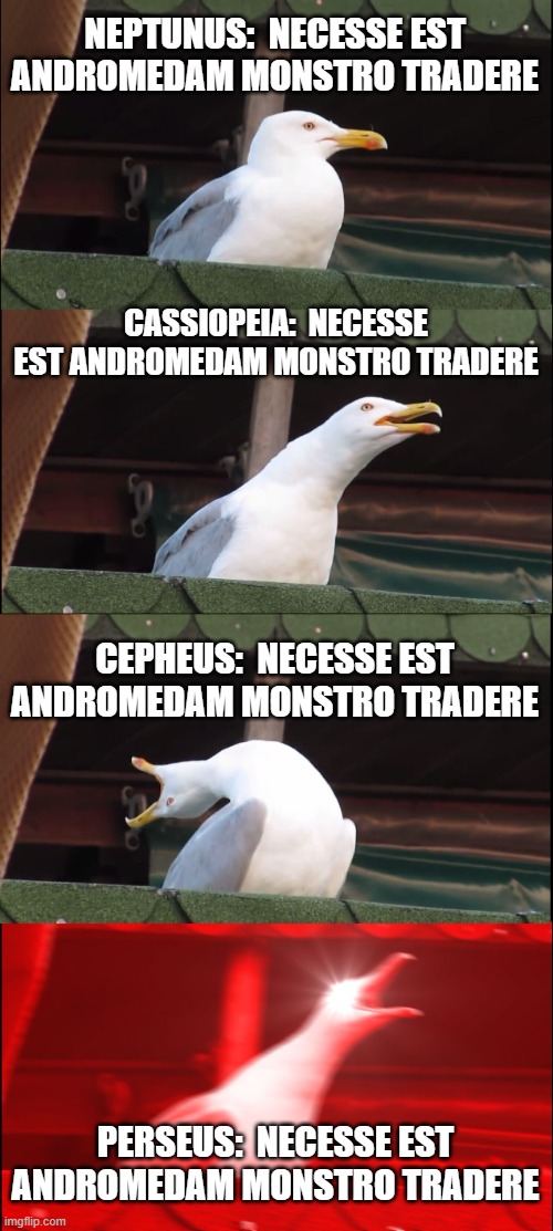 Andromedam monstro tradere | NEPTUNUS:  NECESSE EST ANDROMEDAM MONSTRO TRADERE; CASSIOPEIA:  NECESSE EST ANDROMEDAM MONSTRO TRADERE; CEPHEUS:  NECESSE EST ANDROMEDAM MONSTRO TRADERE; PERSEUS:  NECESSE EST ANDROMEDAM MONSTRO TRADERE | image tagged in memes,inhaling seagull | made w/ Imgflip meme maker