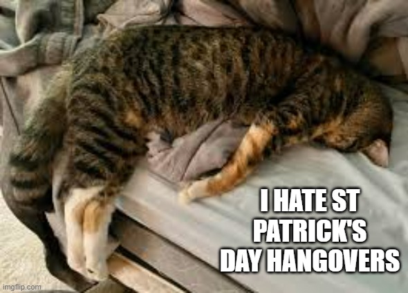 memes by Brad - My cat hates St Patrick's Day hangovers - funny - | I HATE ST PATRICK'S DAY HANGOVERS | image tagged in cats,st patrick's day,hangover,kitten,drinking,drunk | made w/ Imgflip meme maker