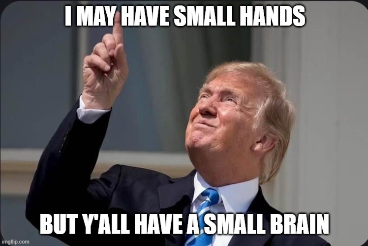 cold small hands | I MAY HAVE SMALL HANDS; BUT Y'ALL HAVE A SMALL BRAIN | image tagged in why does my hand look so small | made w/ Imgflip meme maker