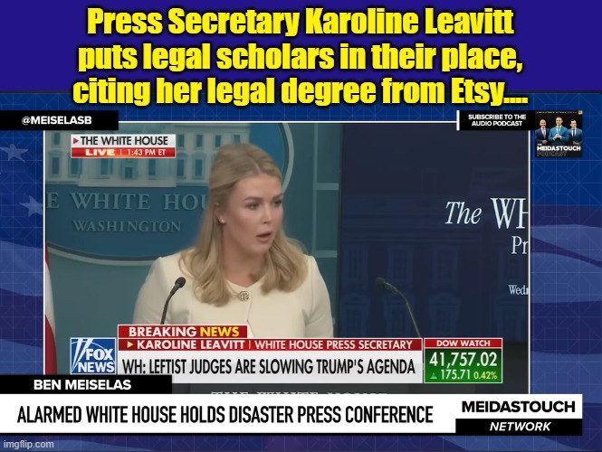 Karoline Knows Best.... | Press Secretary Karoline Leavitt puts legal scholars in their place, citing her legal degree from Etsy.... | image tagged in press secretary,donald trump is an idiot,impeach trump,criminal minds | made w/ Imgflip meme maker