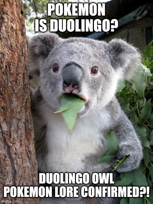 Surprised Koala Meme | POKEMON IS DUOLINGO? DUOLINGO OWL POKEMON LORE CONFIRMED?! | image tagged in memes,surprised koala | made w/ Imgflip meme maker