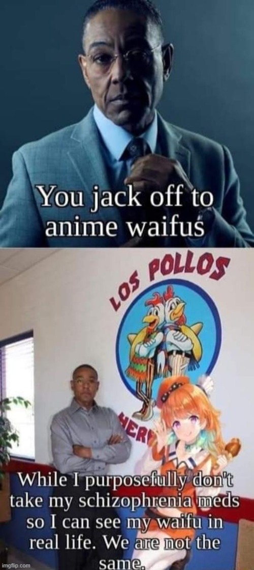 image tagged in gus fring we are not the same | made w/ Imgflip meme maker