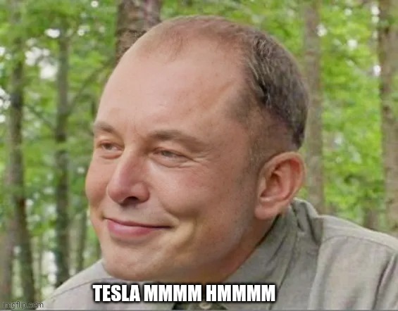 Tesla mmmmm hmmmm | TESLA MMMM HMMMM | image tagged in tesla,elon musk,face swap | made w/ Imgflip meme maker