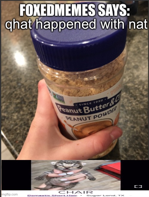 foxedmemes template | qhat happened with nat | image tagged in foxedmemes template is back | made w/ Imgflip meme maker