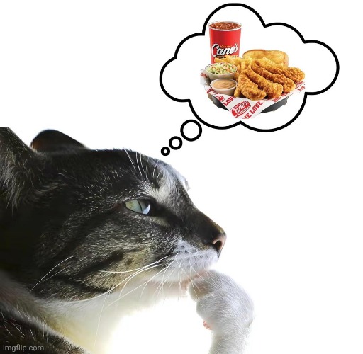 some raising canes sounds great rn | made w/ Imgflip meme maker