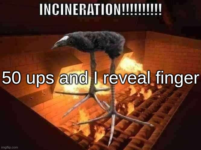 incineration | 50 ups and I reveal finger | image tagged in incineration | made w/ Imgflip meme maker