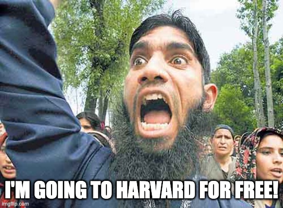 Angry Jihadi | I'M GOING TO HARVARD FOR FREE! | image tagged in angry jihadi | made w/ Imgflip meme maker