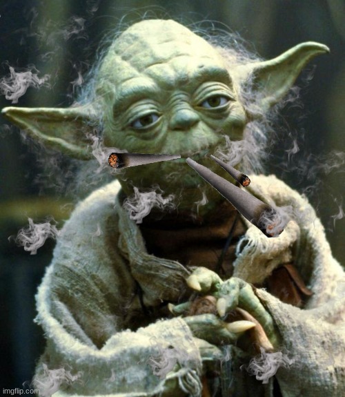 Star Wars Yoda Meme | image tagged in memes,star wars yoda | made w/ Imgflip meme maker