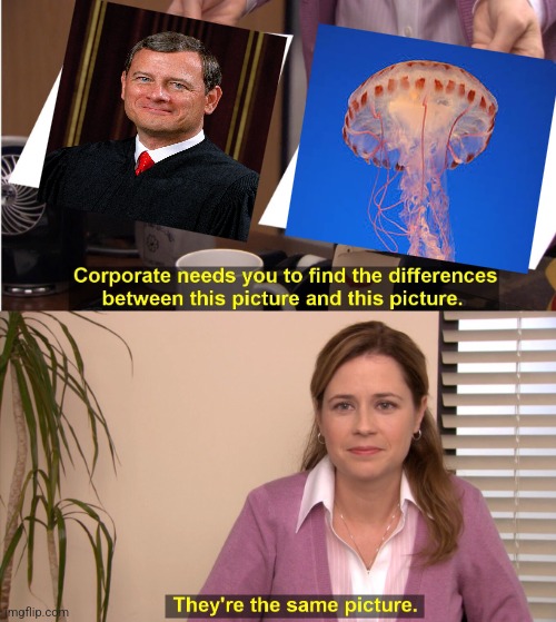 Chief Justice Invertebrate | image tagged in memes,they're the same picture | made w/ Imgflip meme maker