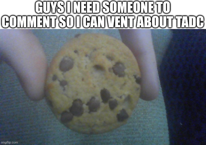 Pls | GUYS I NEED SOMEONE TO COMMENT SO I CAN VENT ABOUT TADC | image tagged in sad cookie | made w/ Imgflip meme maker