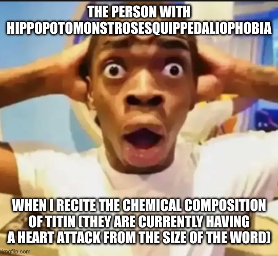 Uh oh. | THE PERSON WITH HIPPOPOTOMONSTROSESQUIPPEDALIOPHOBIA; WHEN I RECITE THE CHEMICAL COMPOSITION OF TITIN (THEY ARE CURRENTLY HAVING A HEART ATTACK FROM THE SIZE OF THE WORD) | image tagged in surprised black guy | made w/ Imgflip meme maker